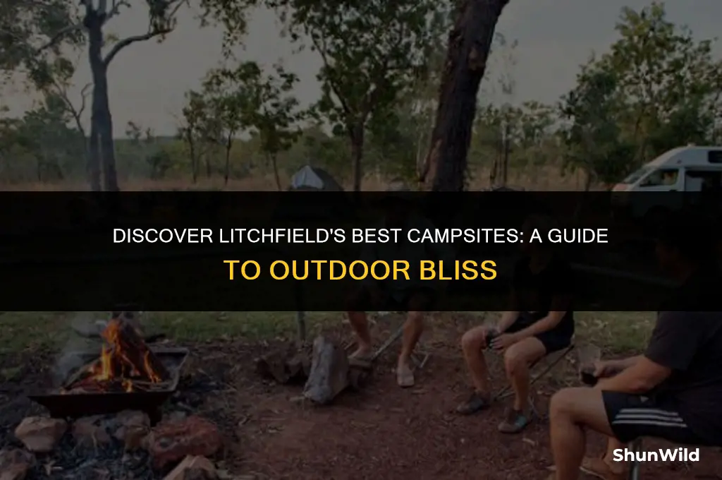 where to camp at litchfield