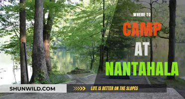 Discover the Best Campsites at Nantahala: Your Ultimate Guide