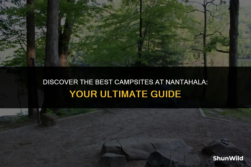 where to camp at nantahala