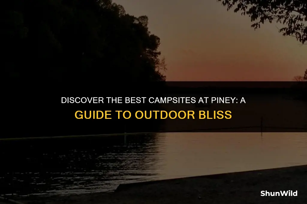 where to camp at piney