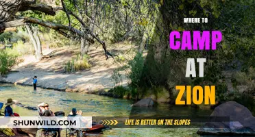 Discover Zion's Hidden Gems: The Ultimate Guide to Campsites