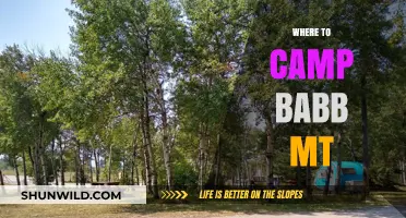 Discover the Best Campsites in Babb, Montana: A Guide to Outdoor Bliss