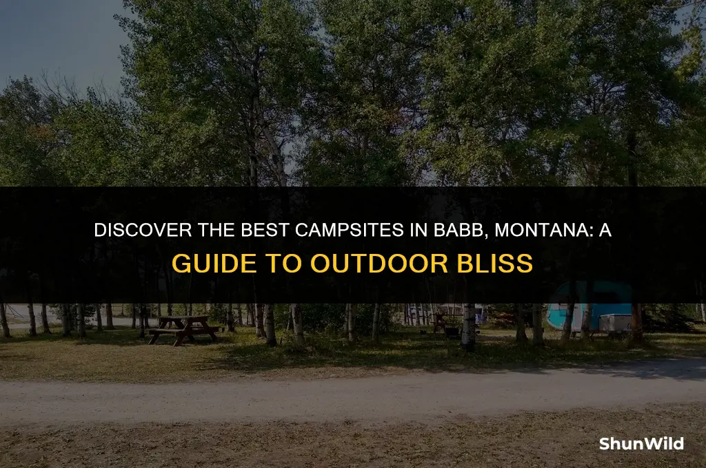 where to camp babb mt