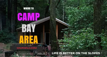 Discover the Best Bay Area Camping Spots: A Guide to Nature's Retreats
