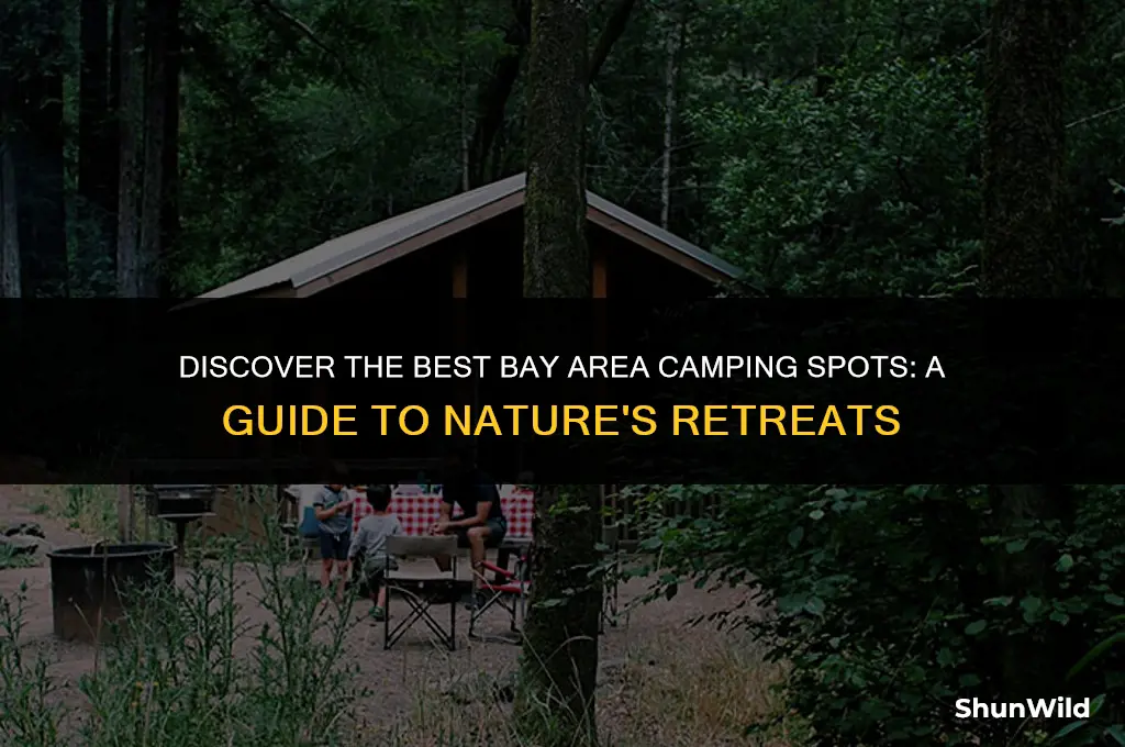 where to camp bay area
