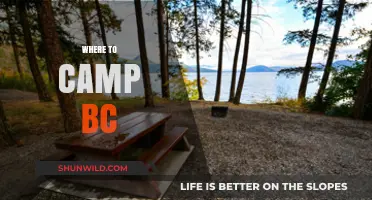 Discover the Best Campsites in BC: A Guide to Outdoor Bliss