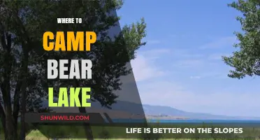 Discover the Best Campsites at Bear Lake: A Comprehensive Guide