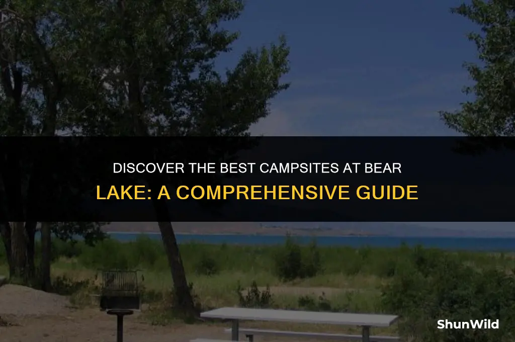where to camp bear lake