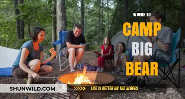 Discover the Best Campsites in Big Bear: Your Ultimate Guide