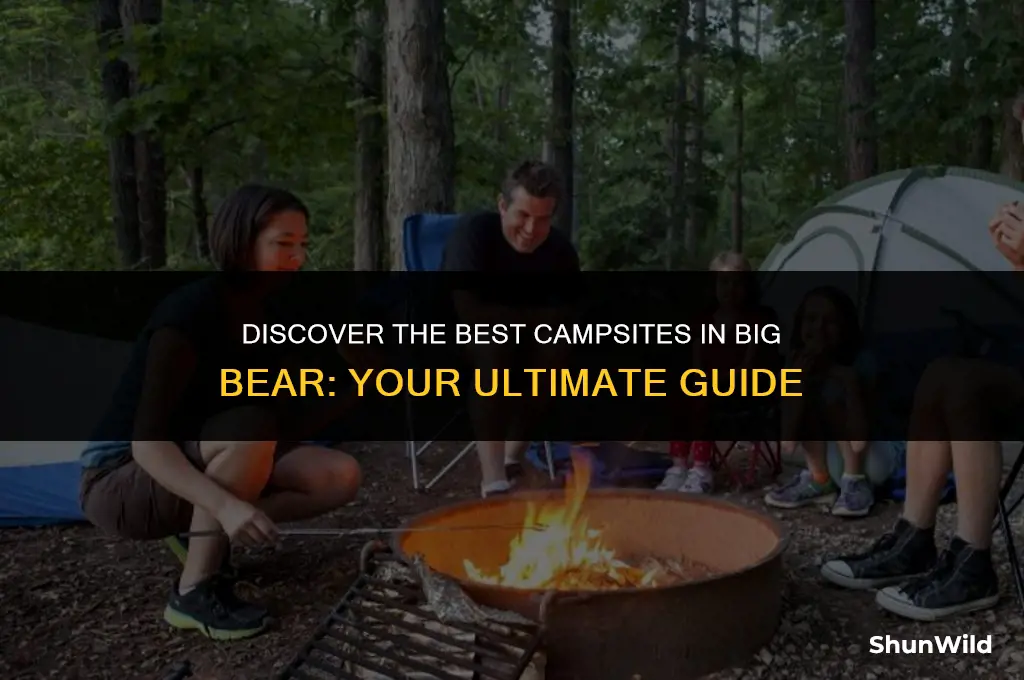 where to camp big bear