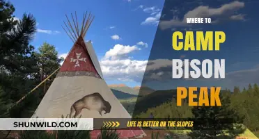 Discover the Best Camping Spots at Bison Peak: A Comprehensive Guide
