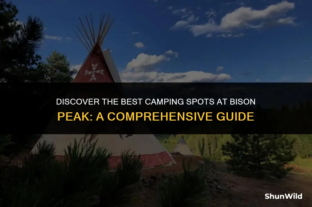 where to camp bison peak