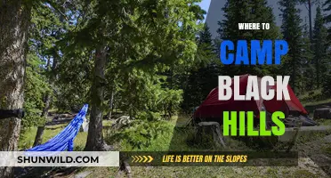 Discover the Best Campsites in the Black Hills: A Guide