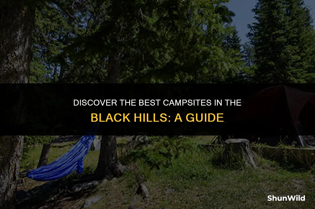 where to camp black hills