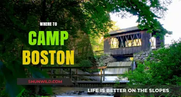Discover Boston's Best Kept Camping Secrets: A Local's Guide