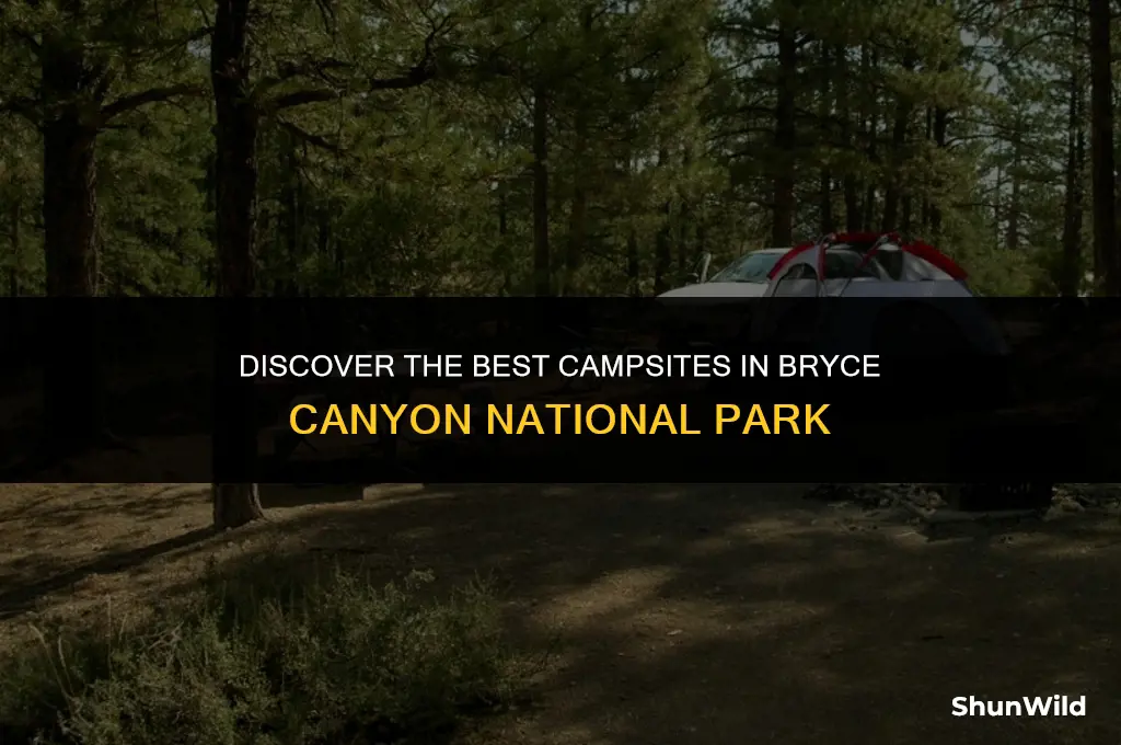 where to camp bryce