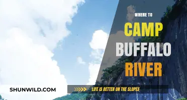 Exploring the Buffalo River: Top Camping Spots and Hidden Gems