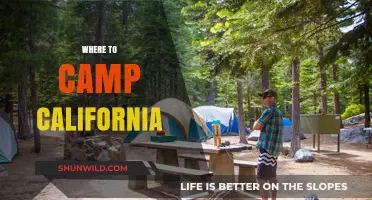 Discover California's Best Campsites: A Guide to Outdoor Bliss
