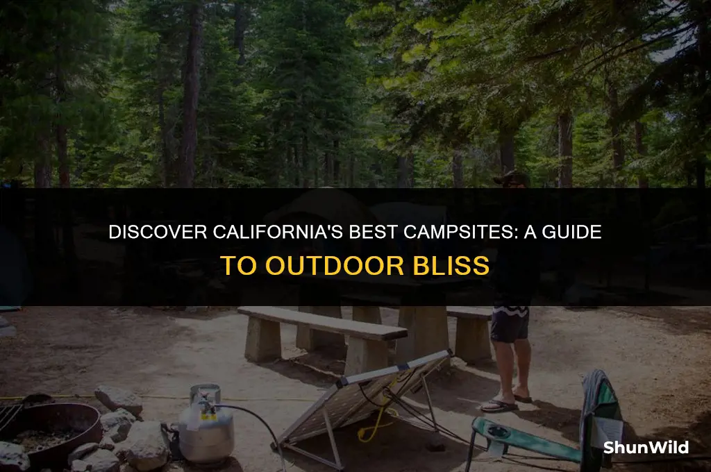 where to camp california