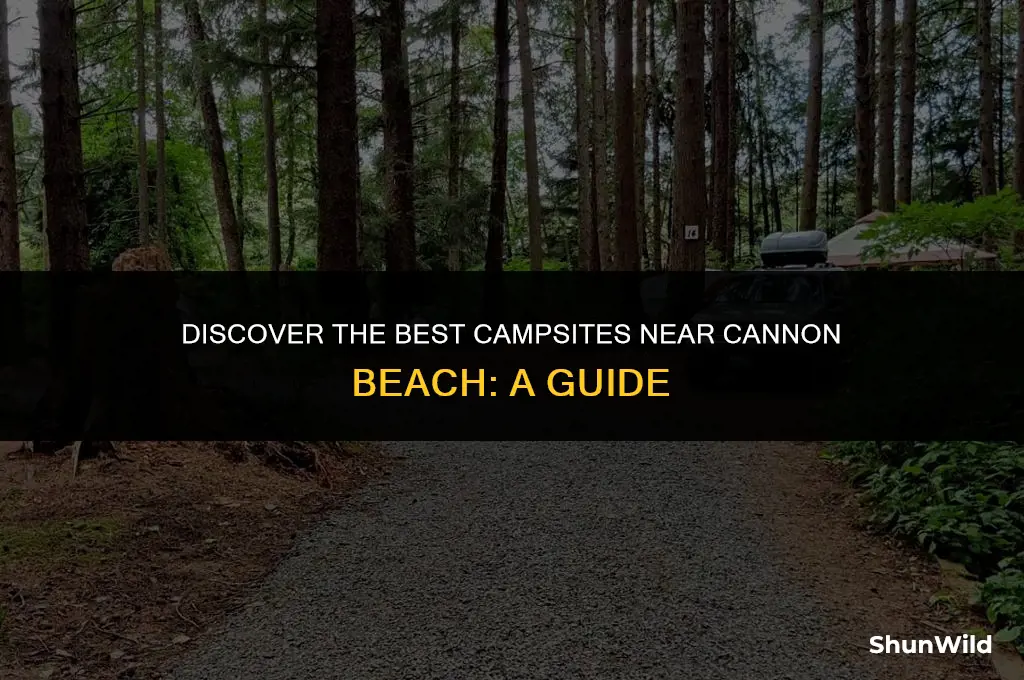 where to camp cannon beach