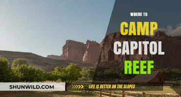 Capitol Reef Camping Guide: Where to Pitch Your Tent