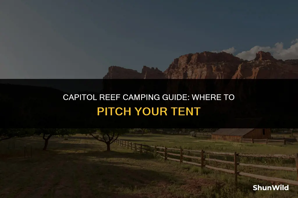 where to camp capitol reef