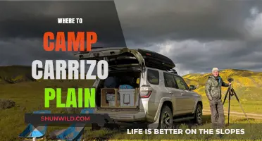 Exploring the Best Campsites in Carrizo Plain National Monument