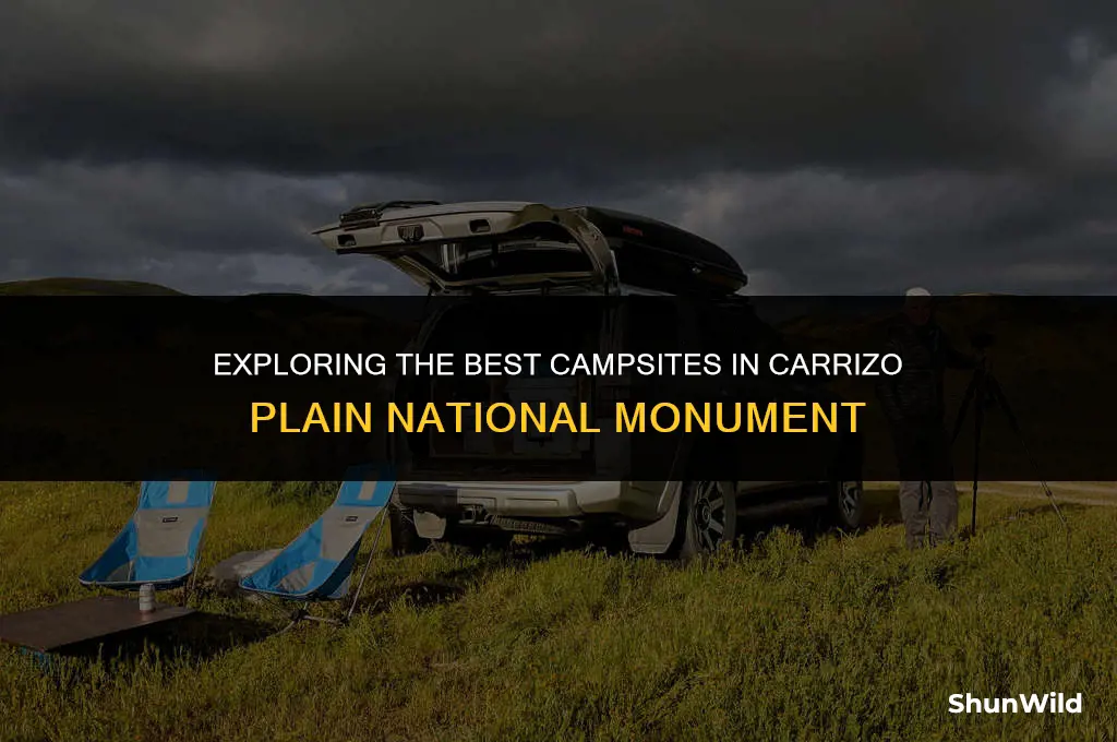 where to camp carrizo plain