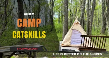 Discover the Best Campsites in the Catskills: A Guide to Outdoor Bliss