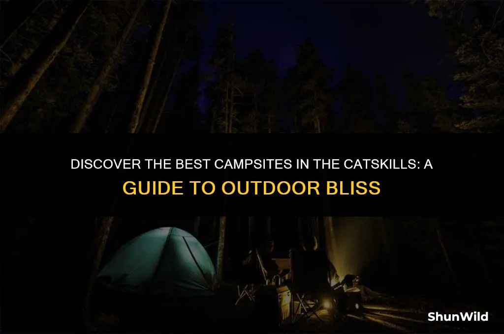 where to camp catskills