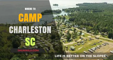 Discover the Best Campsites Near Charleston, SC: A Guide