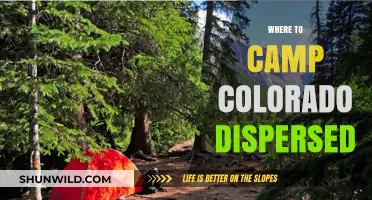 Discover Colorado's Best Dispersed Camping Spots: A Guide