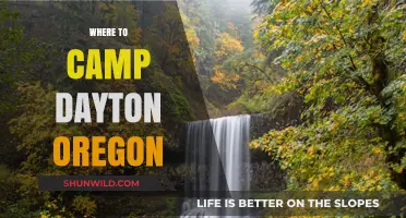 Discover the Best Camping Spots Near Dayton, Oregon