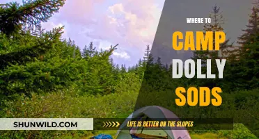 Exploring Dolly Sods: A Guide to the Best Campsites