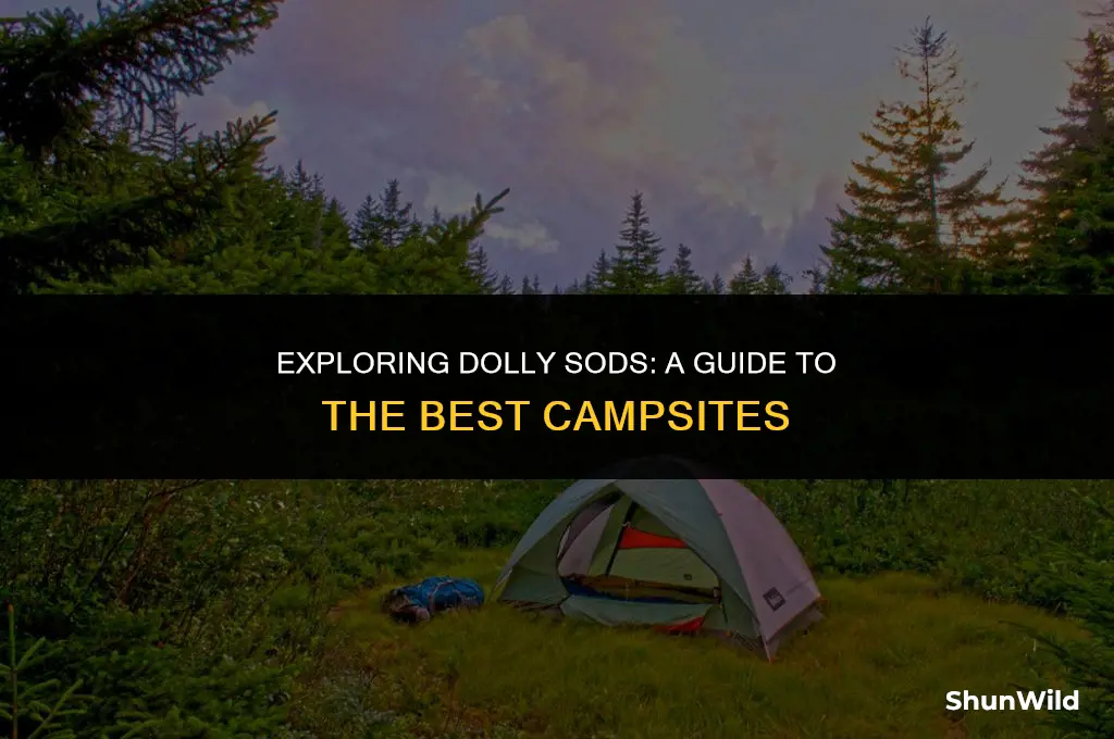 where to camp dolly sods