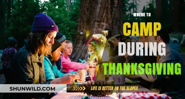 Gobble Up Nature: Top Thanksgiving Camping Spots Across the US