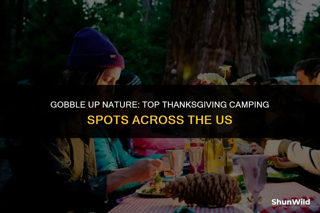 where to camp during thanksgiving