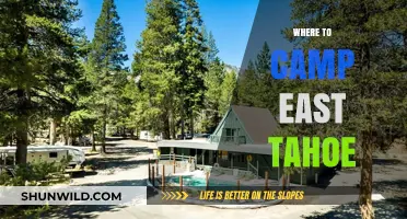 Discover the Best Campsites in East Tahoe: A Guide to Outdoor Bliss
