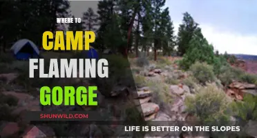Discover the Best Camping Spots at Flaming Gorge: A Comprehensive Guide