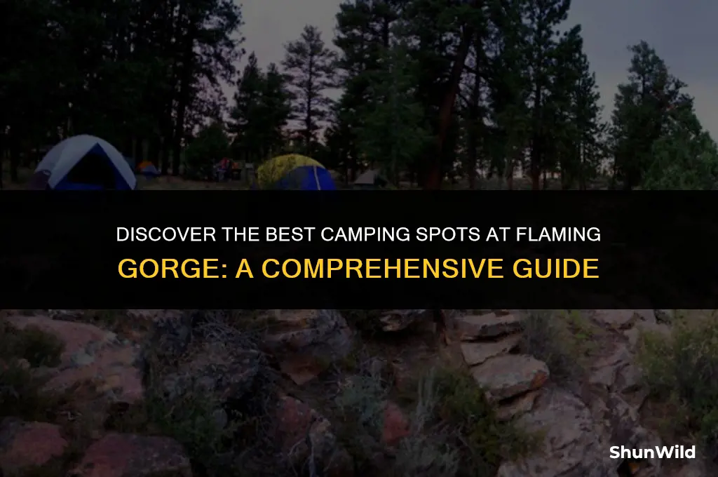 where to camp flaming gorge