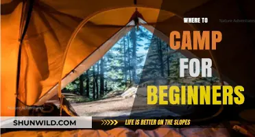 Essential Camping Spots for Newbies: A Beginner's Guide to the Great Outdoors