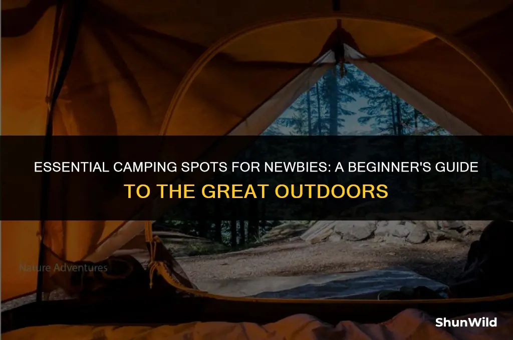 where to camp for beginners