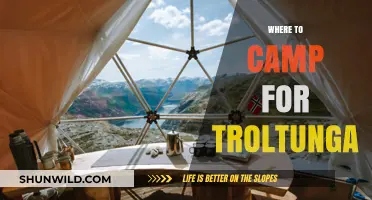 Discovering Trolltunga: A Camper's Guide to Norway's Hidden Gem