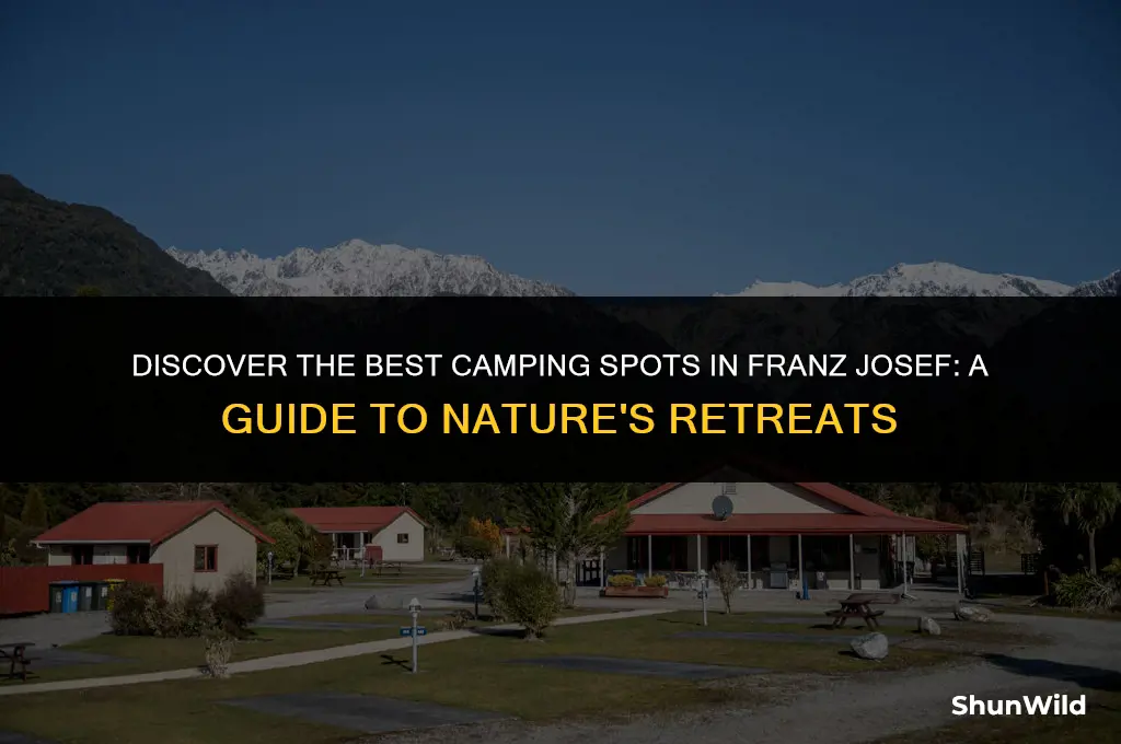 where to camp franz josef
