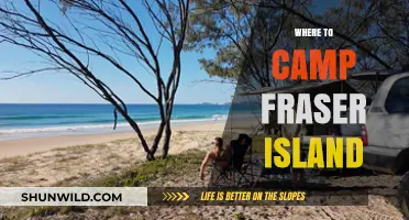 Discover the Best Campsites on Fraser Island: Your Ultimate Guide