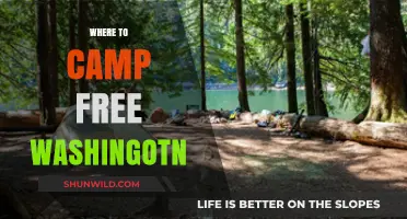 Discover Free Camping Gems in Washington: A Budget Traveler's Guide