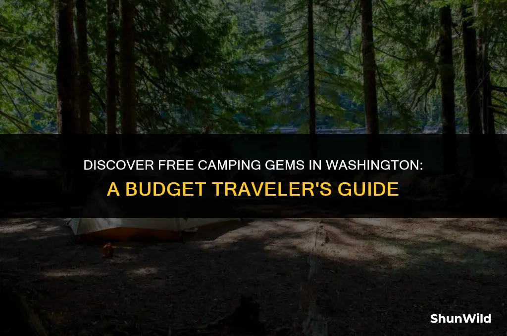 where to camp free washingotn