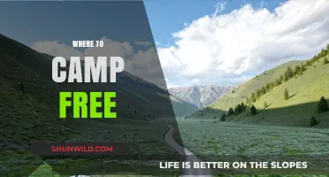 Discover the Best Free Camping Spots: Your Ultimate Guide