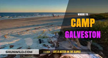 Discover Galveston's Best Campsites: A Guide to Outdoor Adventures