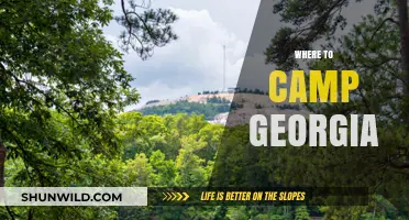 Discover Georgia's Best Kept Camping Secrets: A Guide to Unforgettable Sites